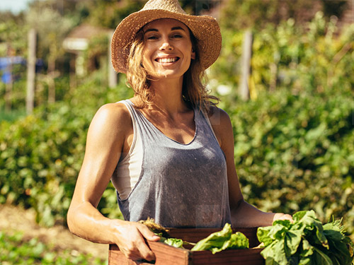 کاربردهای اسید هیومیک در کشاورزی